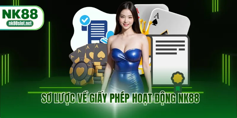 Sơ lược về giấy phép hoạt động NK88