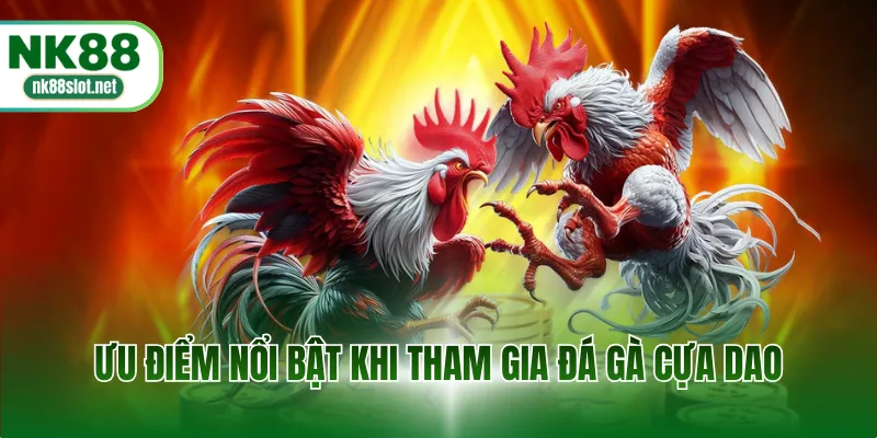 Ưu điểm nổi bật khi tham gia đá gà cựa dao